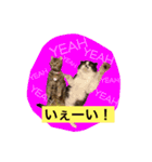 ほくろ＆くるりお気楽スタンプpart2（個別スタンプ：9）