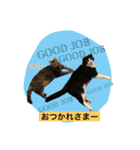 ほくろ＆くるりお気楽スタンプpart2（個別スタンプ：10）