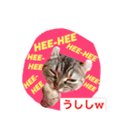 ほくろ＆くるりお気楽スタンプpart2（個別スタンプ：16）