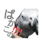 犬と犬と鳥と豚。（個別スタンプ：7）