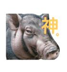 犬と犬と鳥と豚。（個別スタンプ：9）