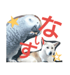 犬と犬と鳥と豚。（個別スタンプ：14）