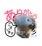 犬と犬と鳥と豚。（個別スタンプ：15）