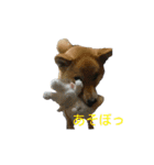 ニモ 福 幸 ジジ（個別スタンプ：16）