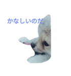 doubutu sutanpu（個別スタンプ：6）