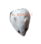 doubutu sutanpu（個別スタンプ：14）