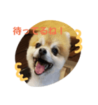 kotaume2（個別スタンプ：6）