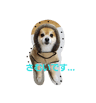 kotaume2（個別スタンプ：7）