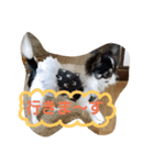 kotaume2（個別スタンプ：8）