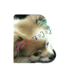 ティアラの呟き☺（個別スタンプ：6）