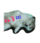 ティアラの呟き☺（個別スタンプ：7）