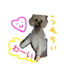 うちのひなちゃんライフ（個別スタンプ：7）