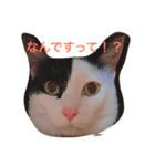おけい①（個別スタンプ：8）