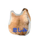 Everybay Momo（個別スタンプ：16）