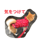 Everybay Momo（個別スタンプ：32）