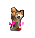 Everybay Momo（個別スタンプ：35）