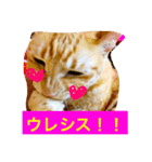 モモタスギザカワユス！（個別スタンプ：3）