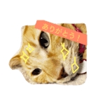 モモタスギザカワユス！（個別スタンプ：8）
