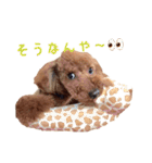 アンバーとリンちゃんの日常会話（個別スタンプ：7）