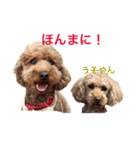 アンバーとリンちゃんの日常会話（個別スタンプ：11）