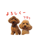 アンバーとリンちゃんの日常会話（個別スタンプ：18）