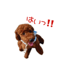 アンバーとリンちゃんの日常会話（個別スタンプ：19）