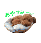 アンバーとリンちゃんの日常会話（個別スタンプ：20）