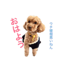 アンバーとリンちゃんの日常会話（個別スタンプ：26）