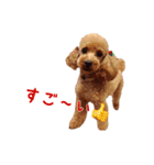 アンバーとリンちゃんの日常会話（個別スタンプ：28）