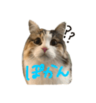 むぎと愉快な家族（個別スタンプ：3）