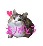 むぎと愉快な家族（個別スタンプ：5）