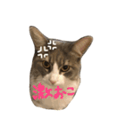 むぎと愉快な家族（個別スタンプ：9）