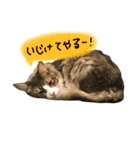 むぎと愉快な家族（個別スタンプ：14）