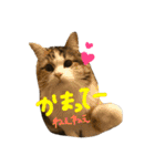 むぎと愉快な家族（個別スタンプ：19）