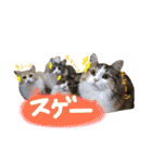 むぎと愉快な家族（個別スタンプ：28）