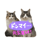 むぎと愉快な家族（個別スタンプ：30）