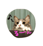 むぎと愉快な家族（個別スタンプ：32）