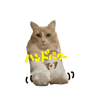 むぎと愉快な家族（個別スタンプ：35）