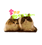 むぎと愉快な家族（個別スタンプ：38）