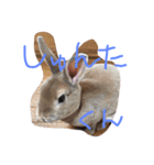 もんじまれたしゅんたちみたすこちゃん。（個別スタンプ：4）