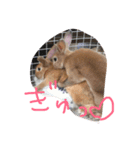 もんじまれたしゅんたちみたすこちゃん。（個別スタンプ：5）