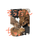 もんじまれたしゅんたちみたすこちゃん。（個別スタンプ：7）