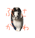 もんじまれたしゅんたちみたすこちゃん。（個別スタンプ：10）