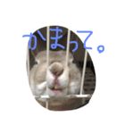 もんじまれたしゅんたちみたすこちゃん。（個別スタンプ：12）