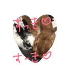 もんじまれたしゅんたちみたすこちゃん。（個別スタンプ：14）