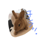 もんじまれたしゅんたちみたすこちゃん。（個別スタンプ：15）