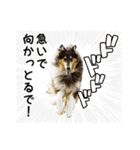 She is WHO！（個別スタンプ：2）