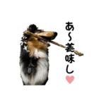 She is WHO！（個別スタンプ：3）