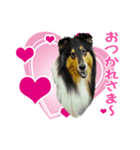 She is WHO！（個別スタンプ：4）