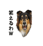 She is WHO！（個別スタンプ：8）